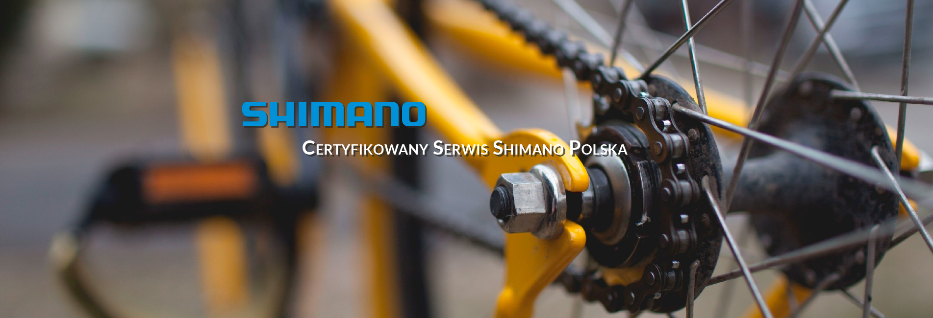 rotator-serwis-shimano-2b