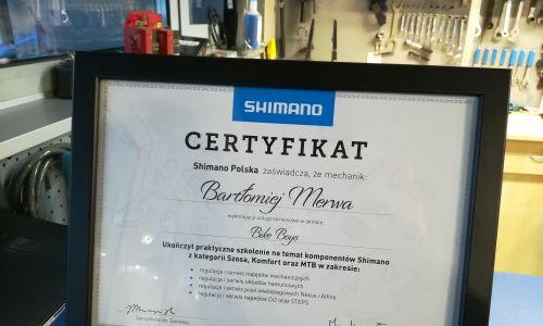 certyfikat shimano serwis